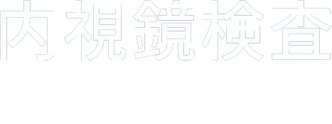 内視鏡検査